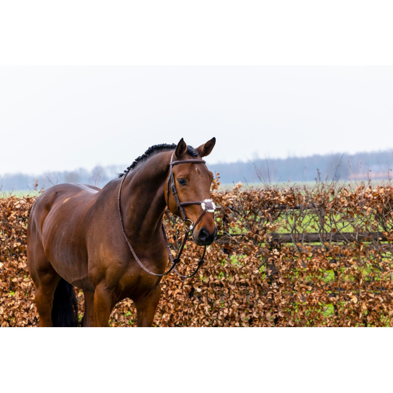 Bridle anatomic mexican noseband Oslo