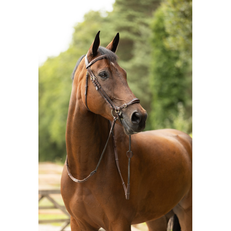 Bridle anatomic drop noseband Barcelona