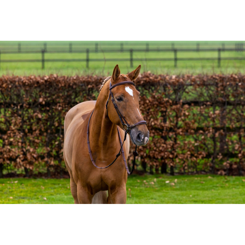 Bridle anatomic drop noseband Barcelona