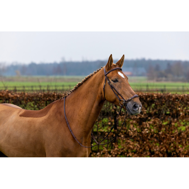 Bridle anatomic drop noseband Barcelona