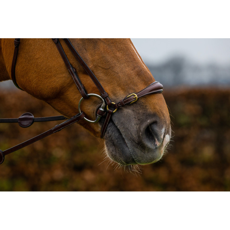 Bridle anatomic drop noseband Barcelona