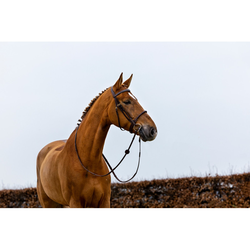 Bridle anatomic Rope noseband Dublin