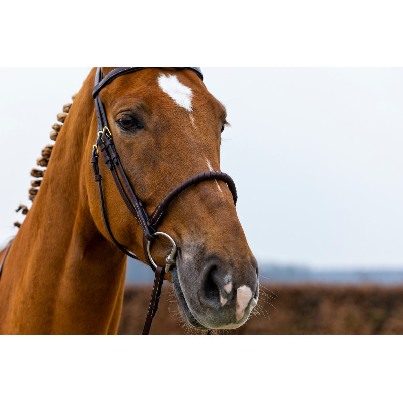 Bridle anatomic Rope noseband Dublin