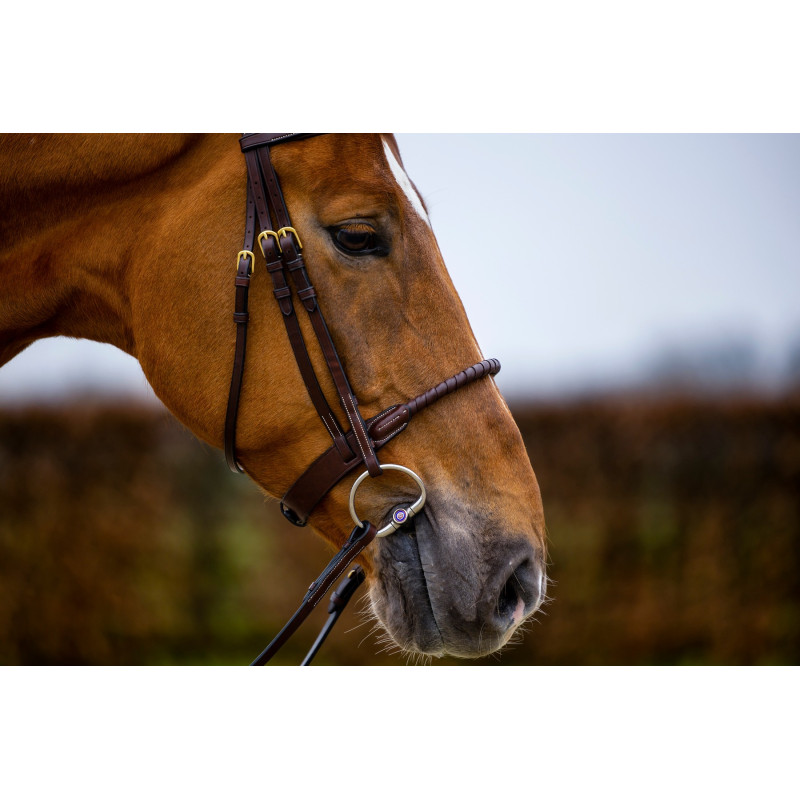 Bridle anatomic Rope noseband Dublin