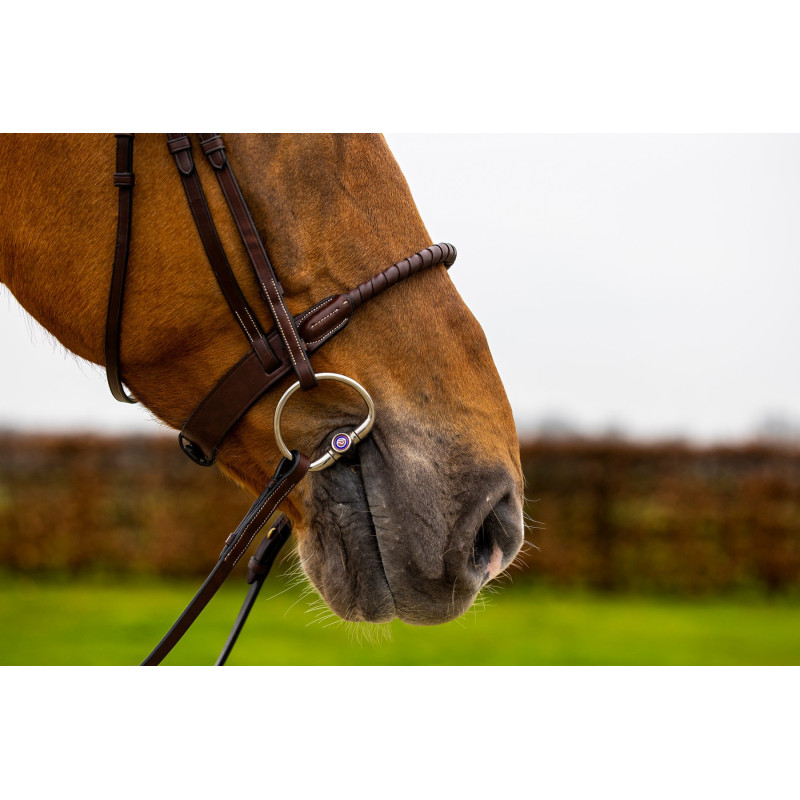 Bridle anatomic Rope noseband Dublin