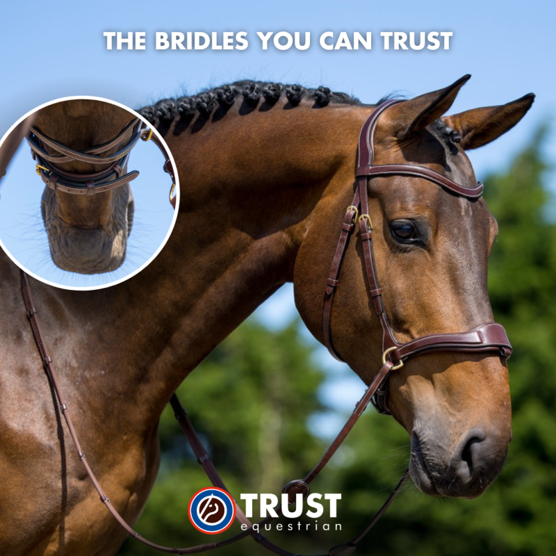 Bridle anatomic combined noseband Falsterbo
