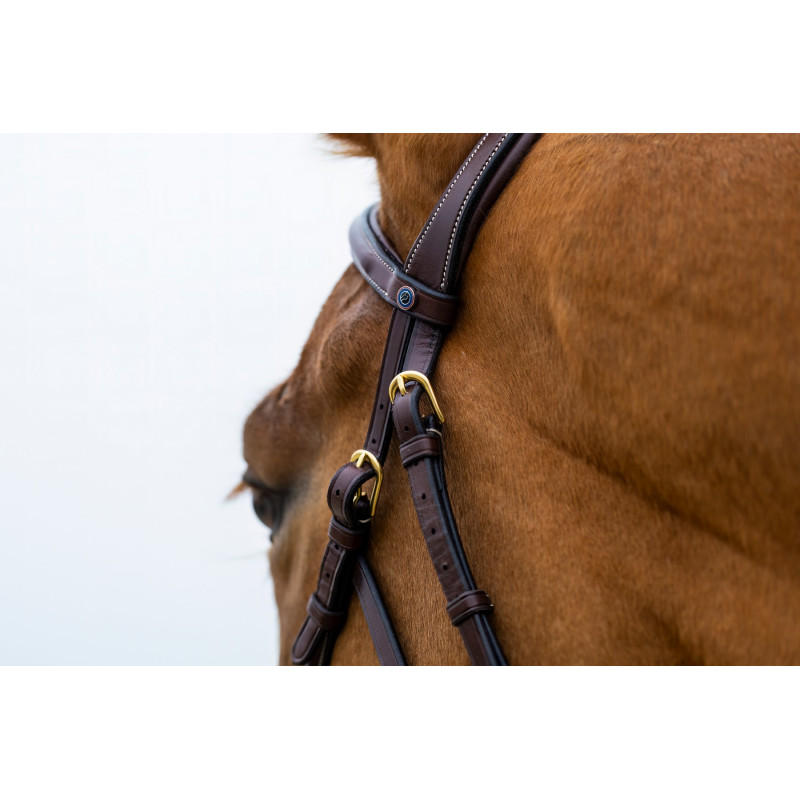 Bridle anatomic hackamore Hickstead