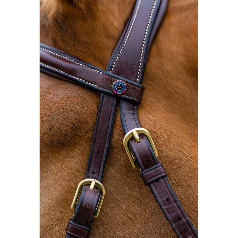 Bridle anatomic hackamore Hickstead