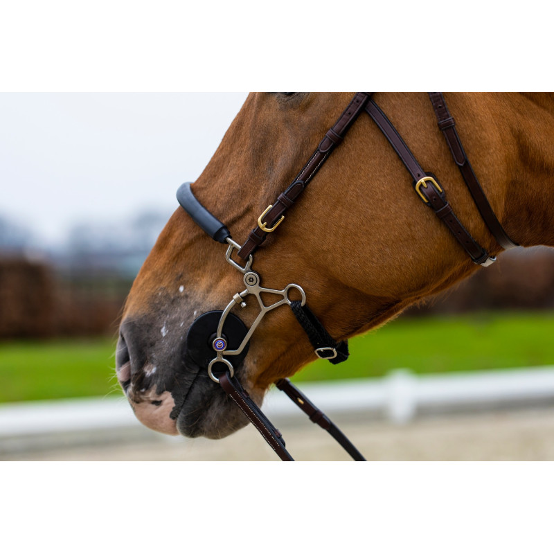 Bridle anatomic hackamore Hickstead