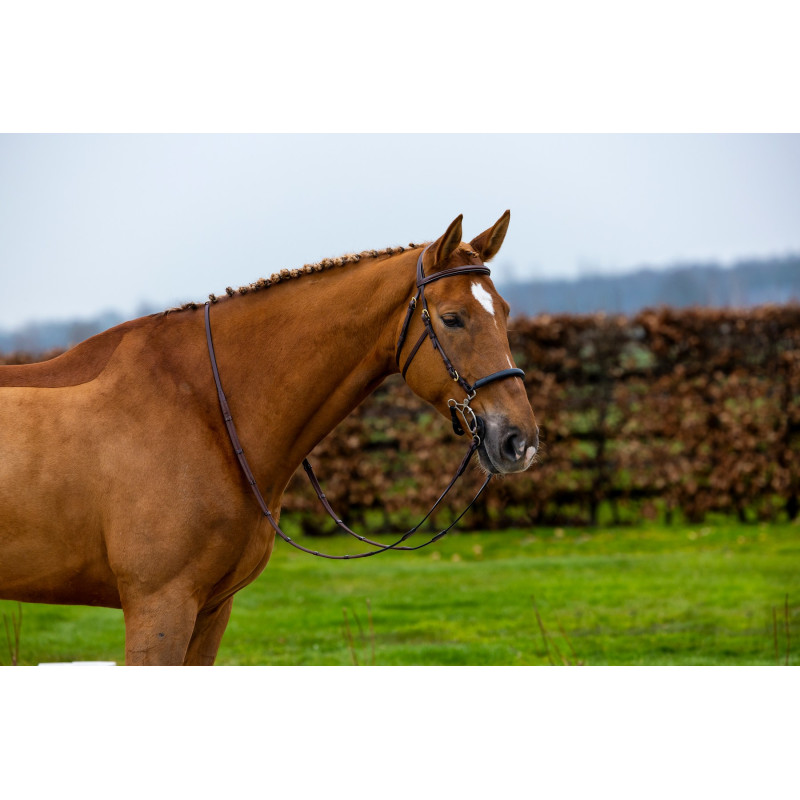 Bridle anatomic hackamore Hickstead