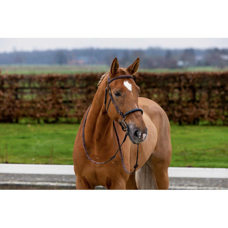 Bridle anatomic hackamore Hickstead