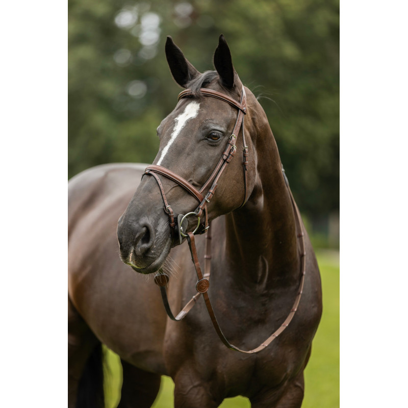Bridle anatomic combined noseband Knokke