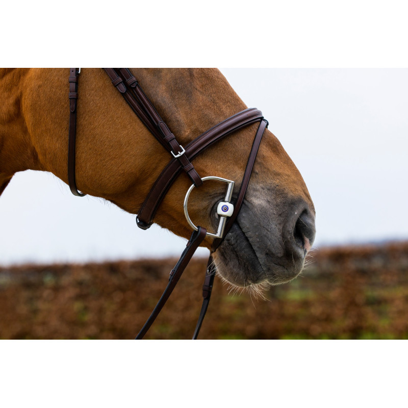 Bridle anatomic combined noseband Knokke