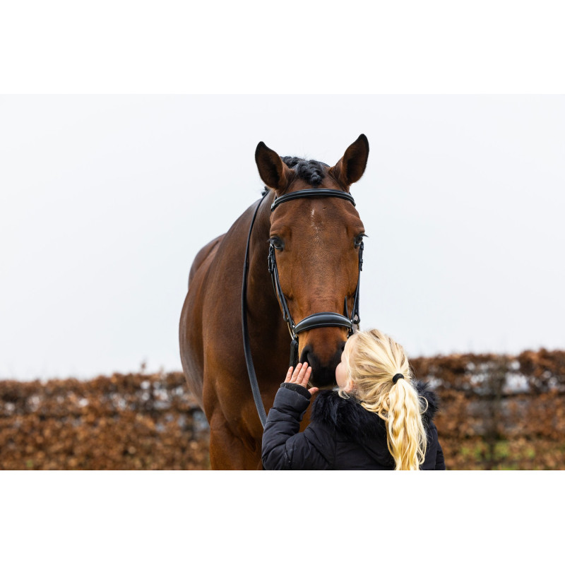 Bridle anatomic drop noseband Rome