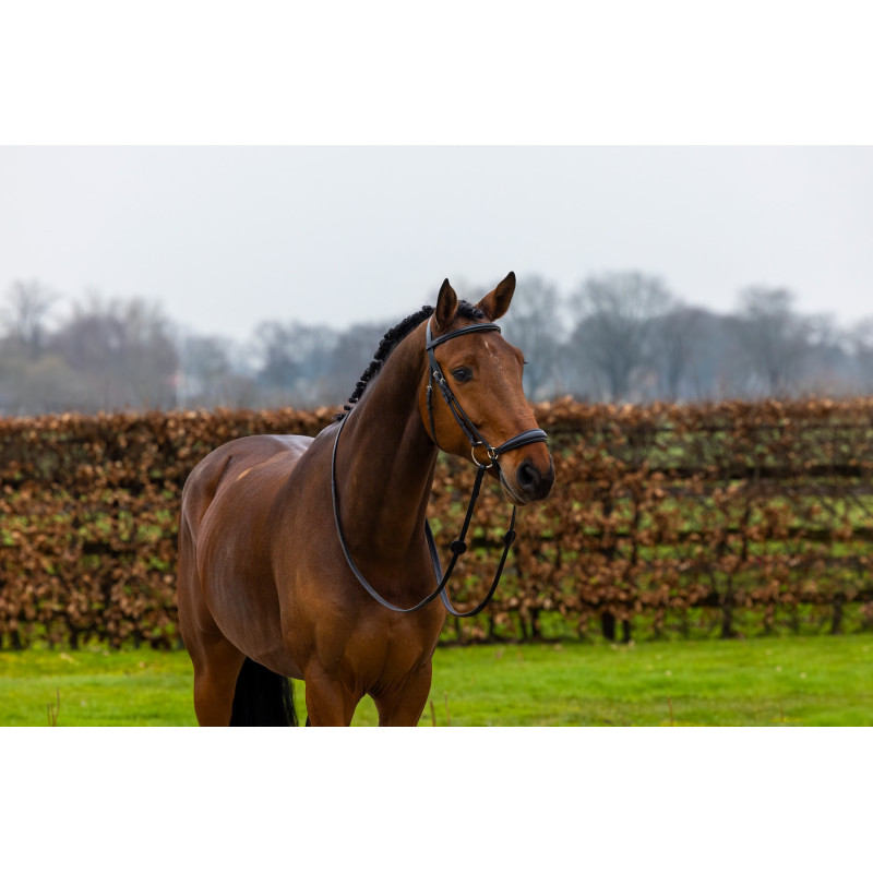 Bridle anatomic drop noseband Rome