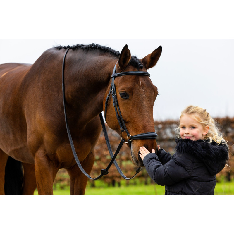 Bridle anatomic drop noseband Rome
