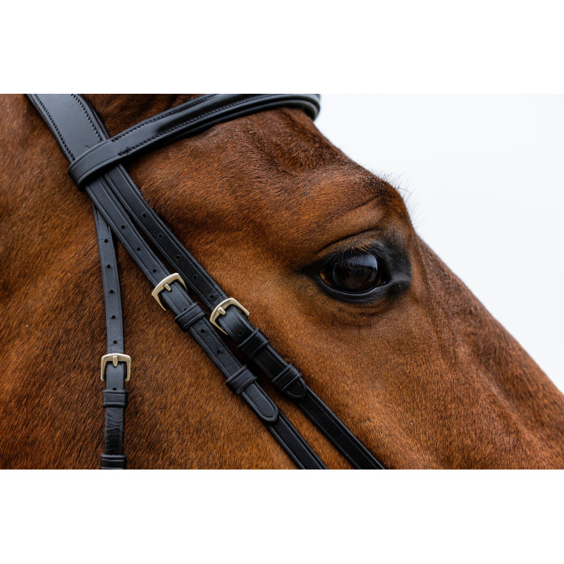 Bridle anatomic drop noseband Rome