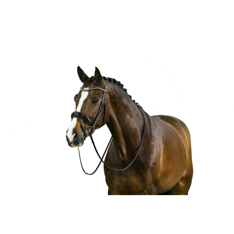 Patent Large Crank Noseband Bridle Rotterdam