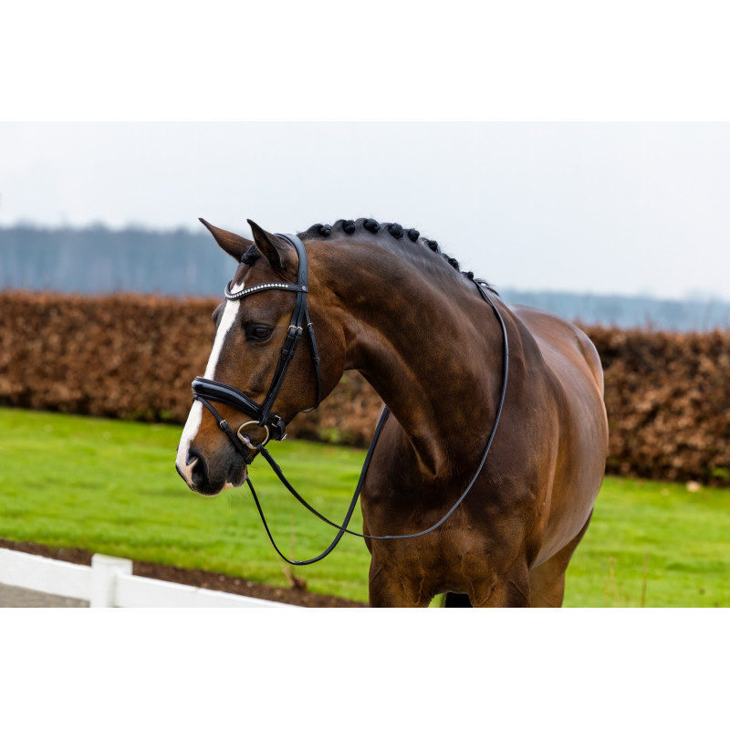 Patent Large Crank Noseband Bridle Rotterdam