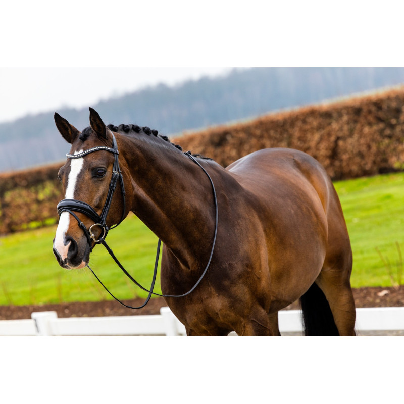 Patent Large Crank Noseband Bridle Rotterdam