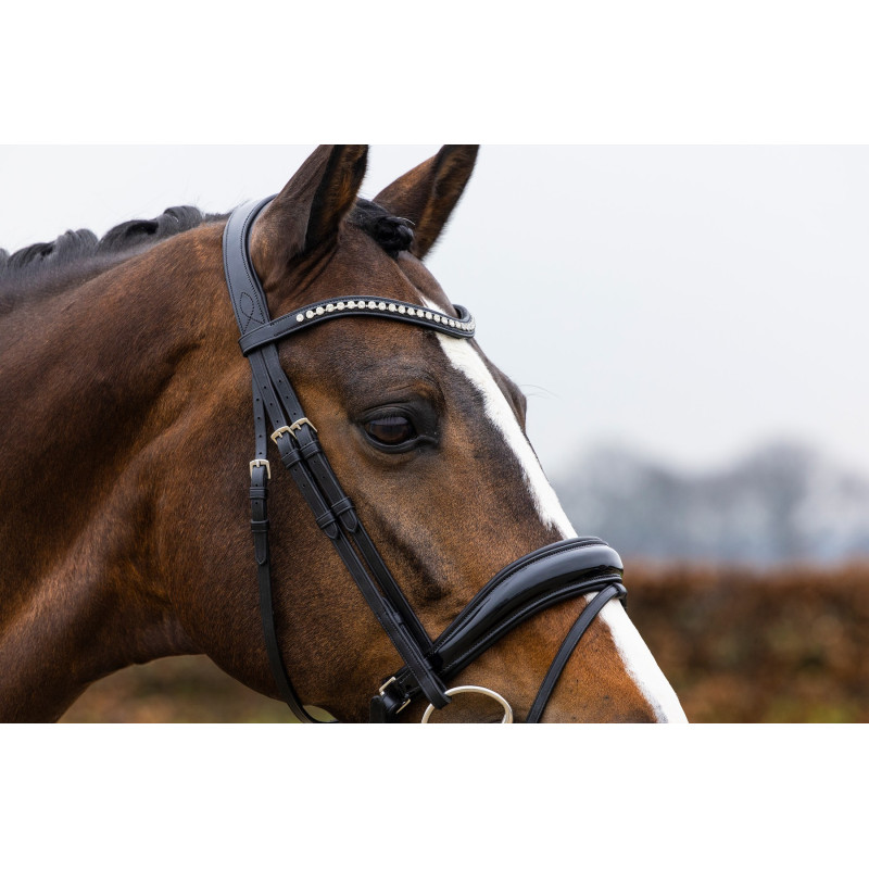 Patent Large Crank Noseband Bridle Rotterdam