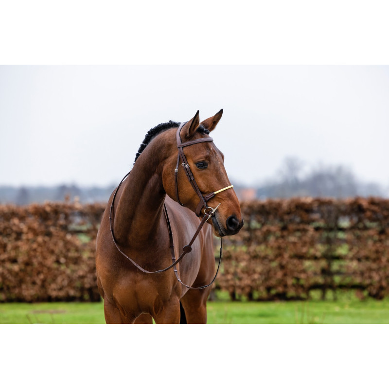 Bridle anatomic Rope noseband Saint Gallen