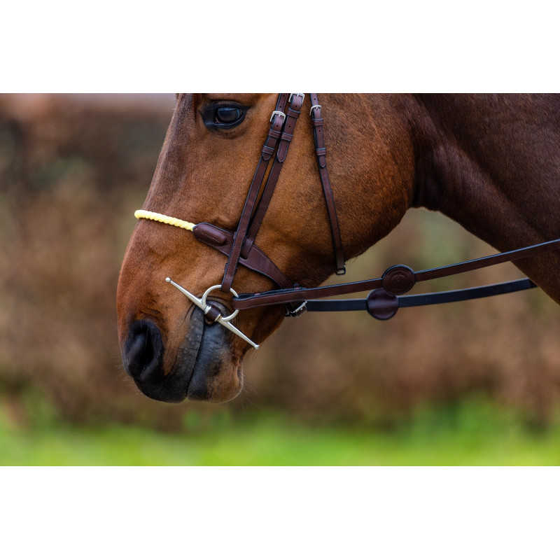 Bridle anatomic Rope noseband Saint Gallen