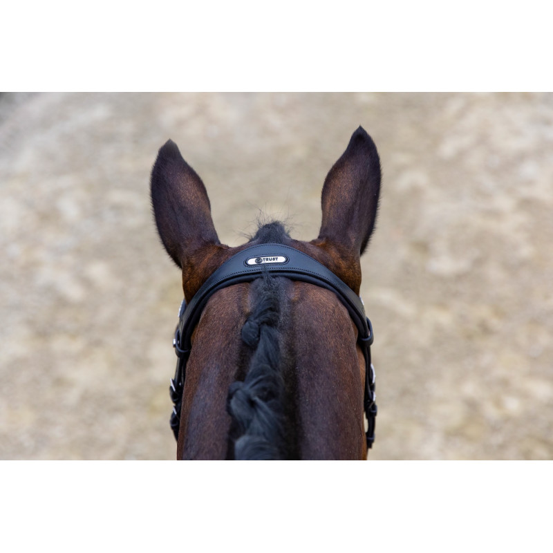 Large Crank Noseband Bridle Verden