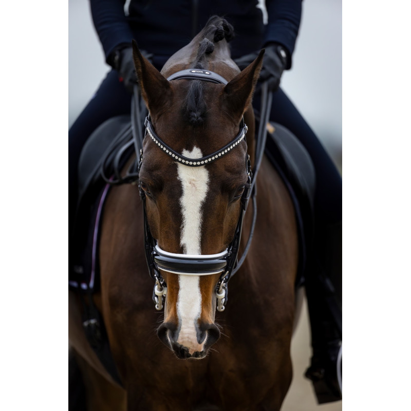 Large Crank Noseband Bridle Verden