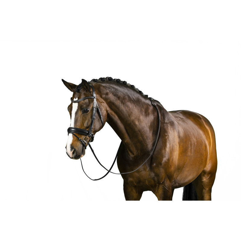 Large Crank Noseband Bridle Verden
