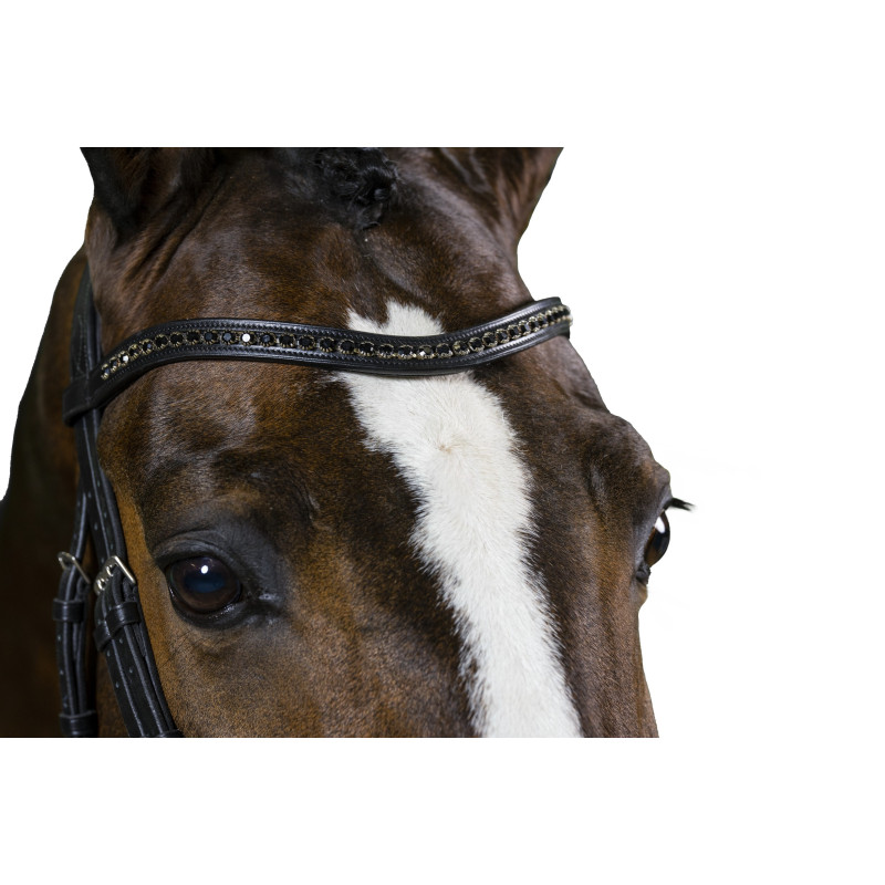 Large Crank Noseband Bridle Verden