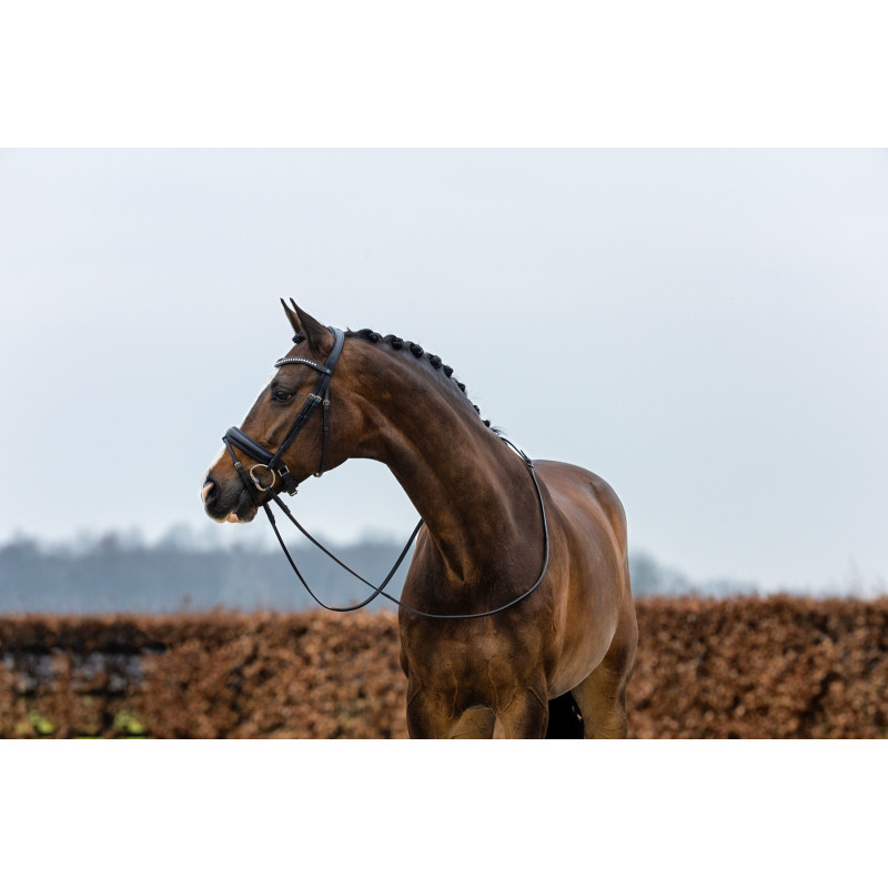 Large Crank Noseband Bridle Verden