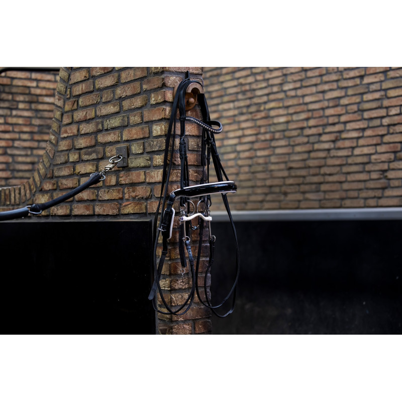 Large Crank Noseband Bridle Verden