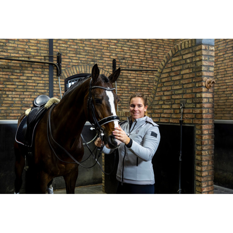 Large Crank Noseband Bridle Verden