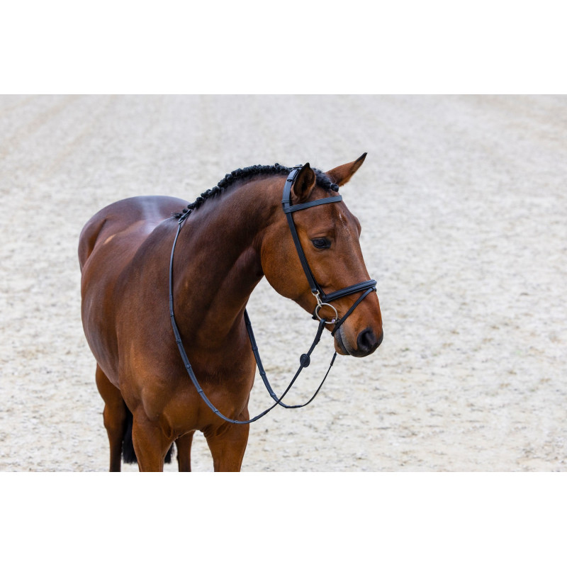 Training bridle combined noseband Hamburg