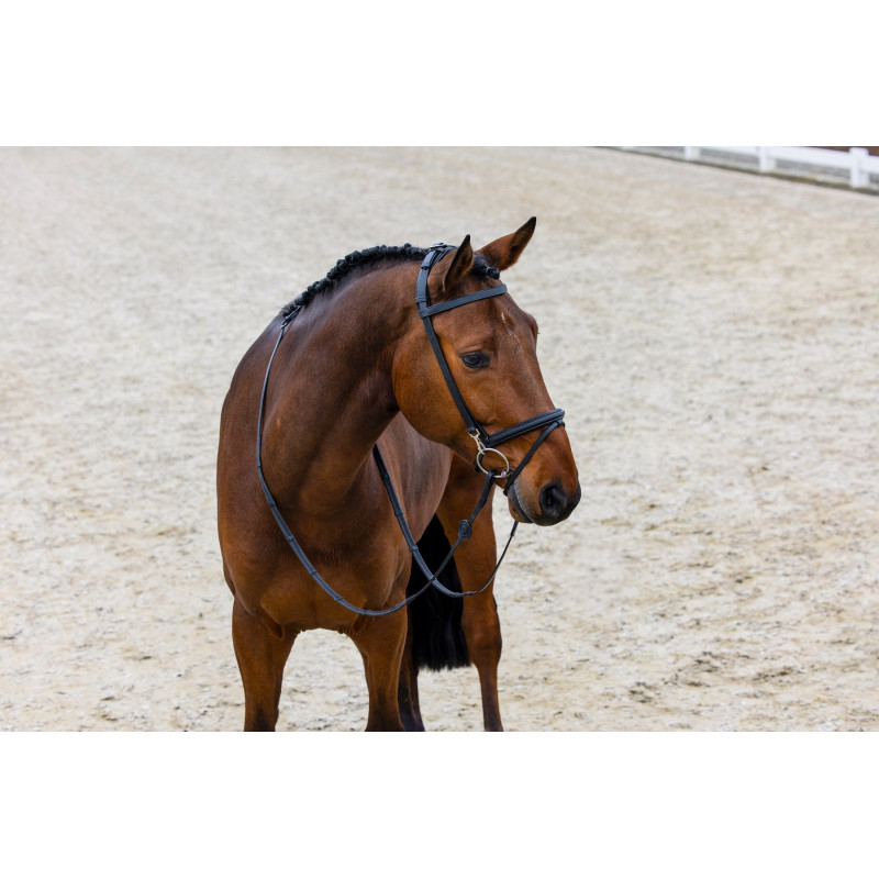 Training bridle combined noseband Hamburg