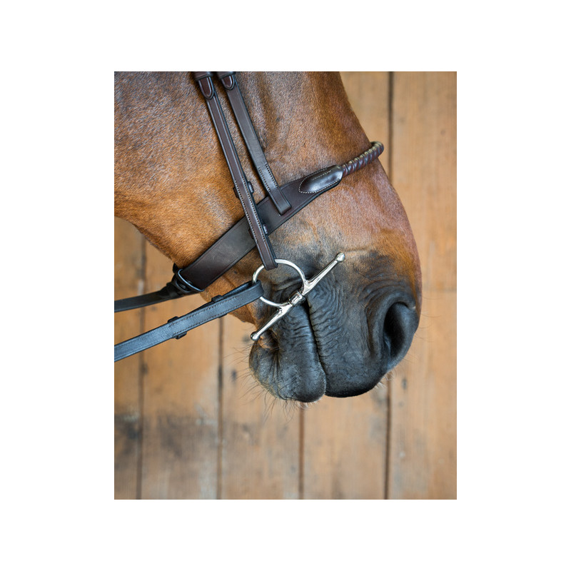 Mattias Sweet iron Fullcheek - Fager