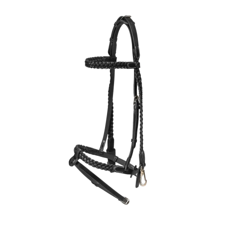 Plaited Training Bridle with Snap Hooks - Working by Dy'on