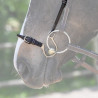 Muserolle kineton Week