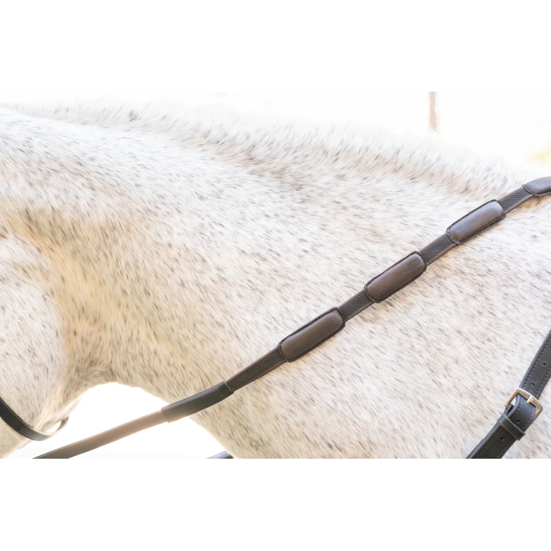 Web Reins with leather padding loops Comfort connect - Correct Connect