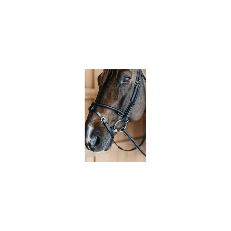 Round leather bridle - Dy'on