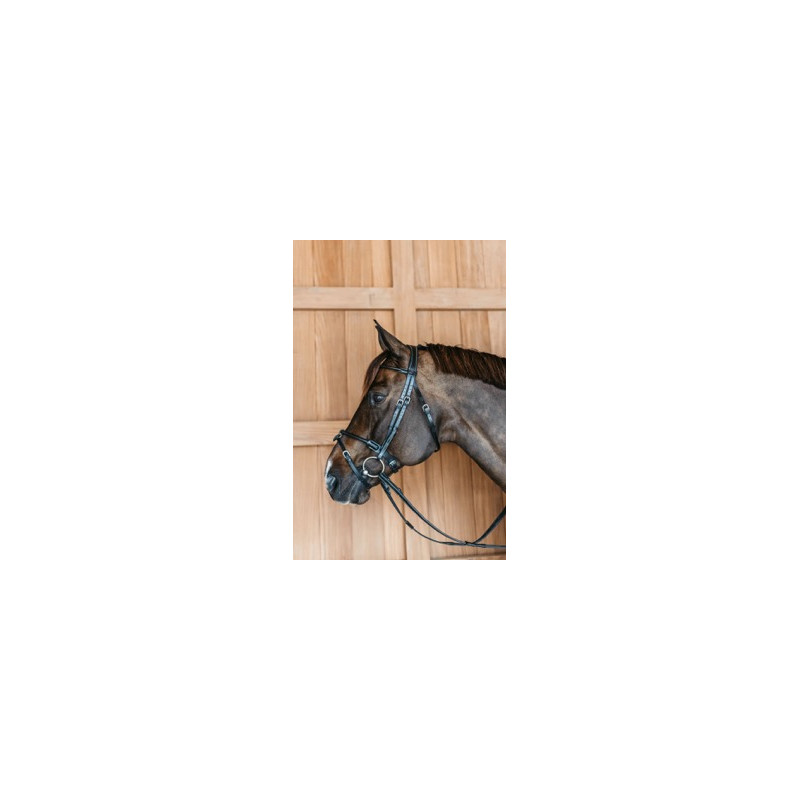 Round leather bridle - Dy'on
