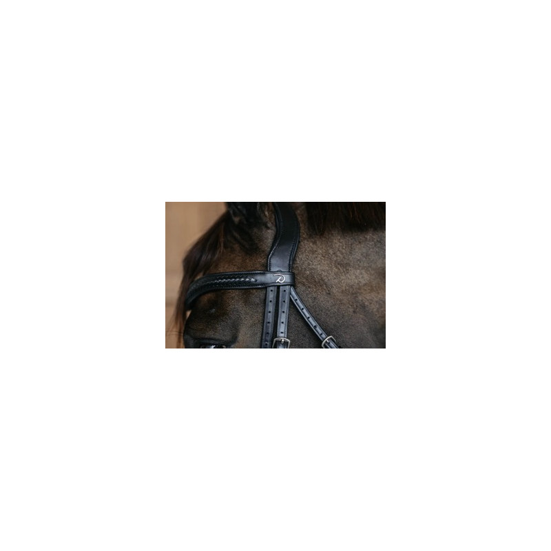Braided combined muzzle bridle with Pullback - Dy'on