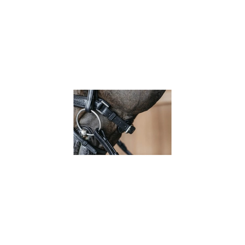 Braided combined muzzle bridle with Pullback - Dy'on