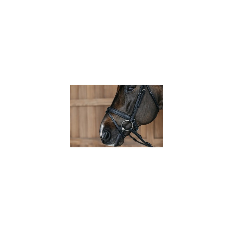 Braided combined muzzle bridle with Pullback - Dy'on