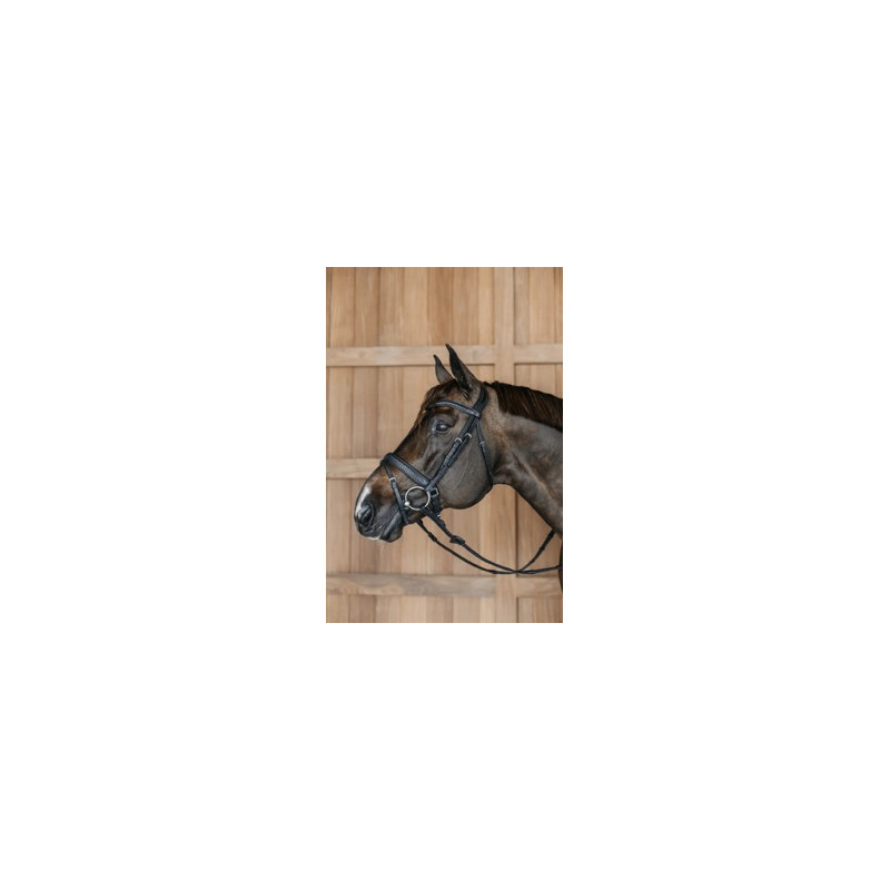 Braided combined muzzle bridle with Pullback - Dy'on