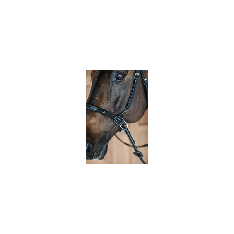 Bitless bridle - Dy'on