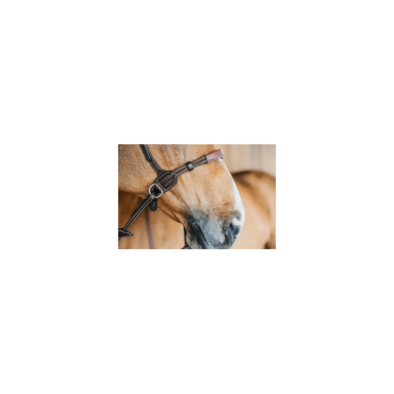 Bitless bridle - Dy'on