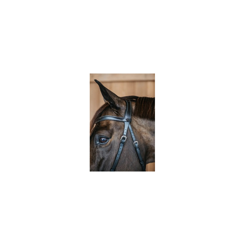 Bitless bridle - Dy'on