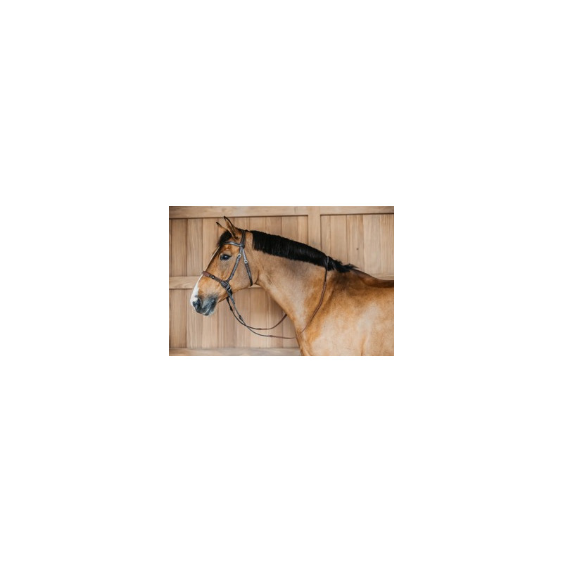 Bitless bridle - Dy'on